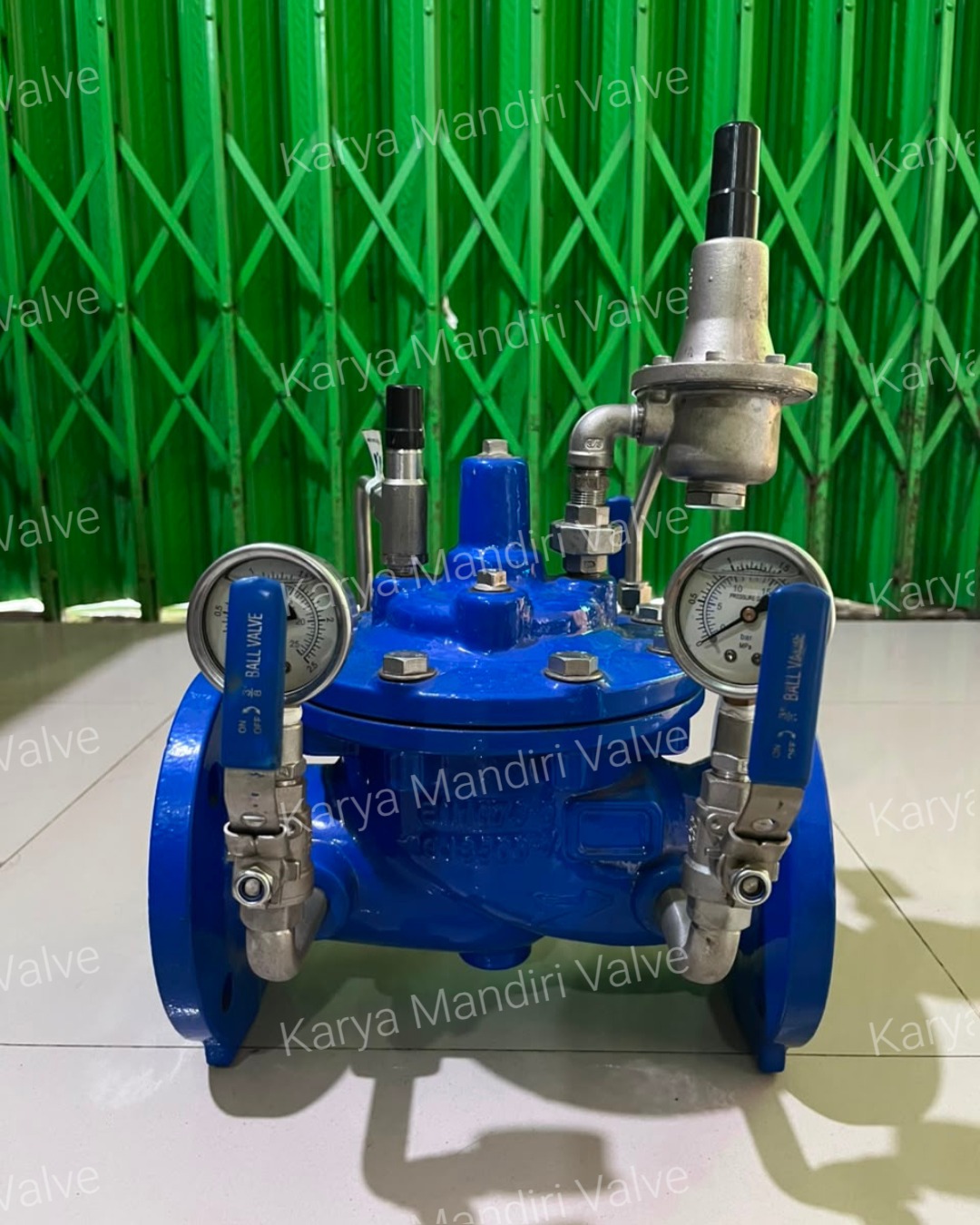 Pressure Reducing Check Valve
